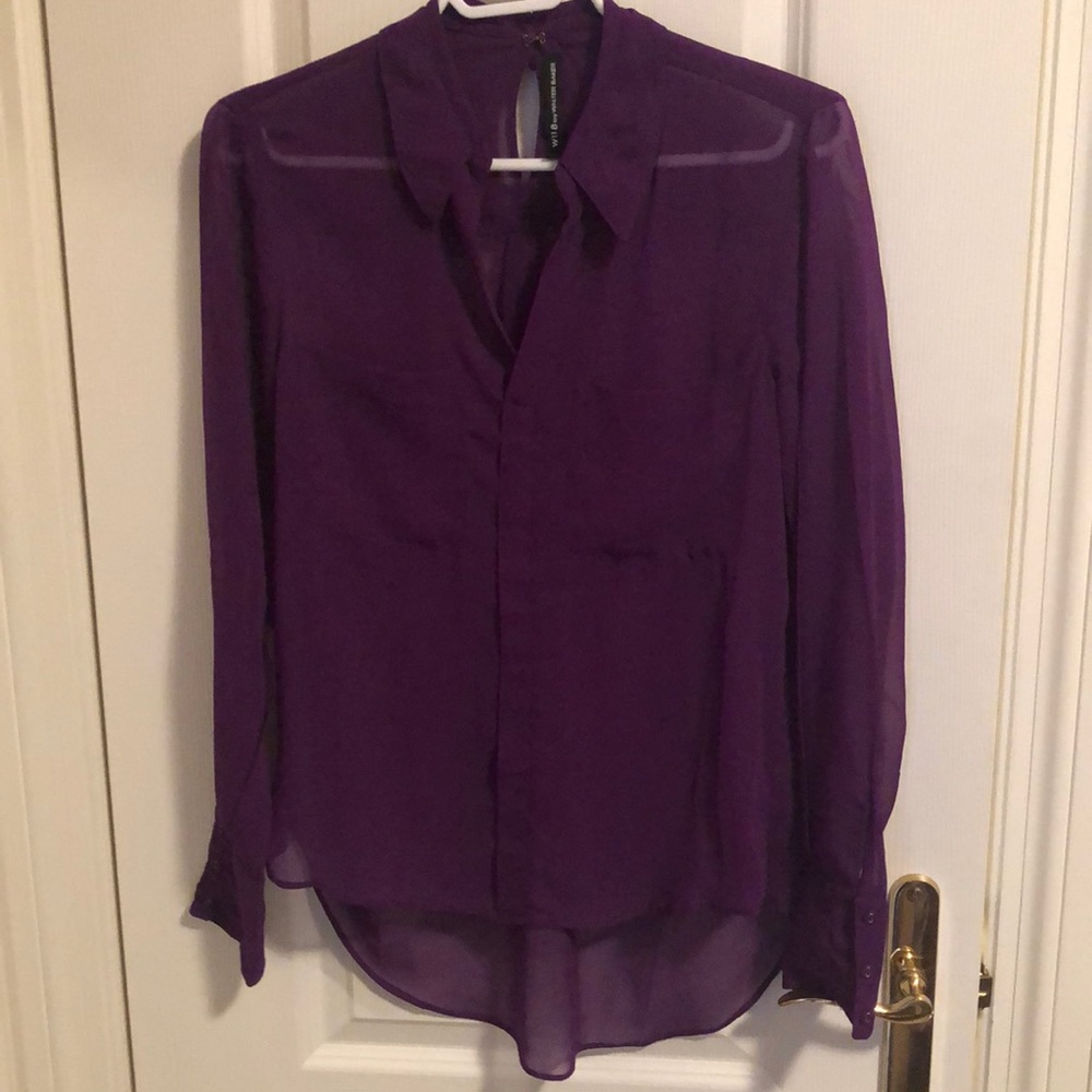 Sheer fall blouse